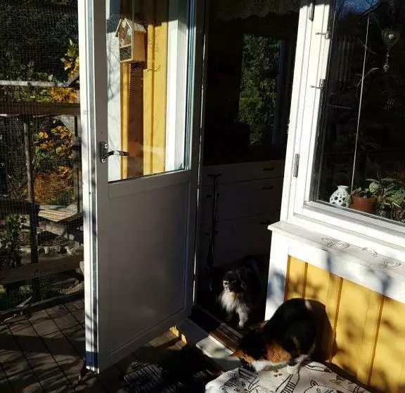 Aamiaismajoitus (B&B) Perenner På Bakgården