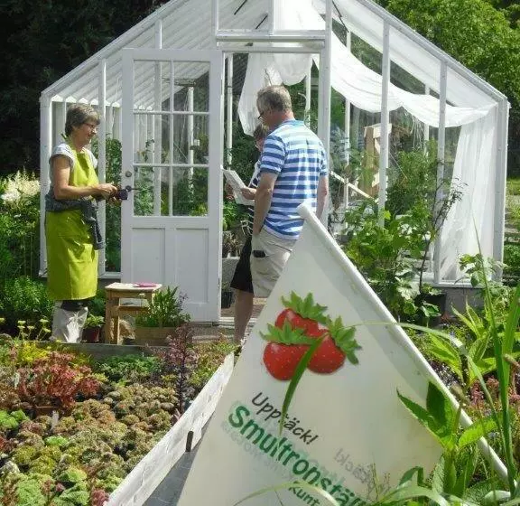 Aamiaismajoitus (B&B) Perenner På Bakgården