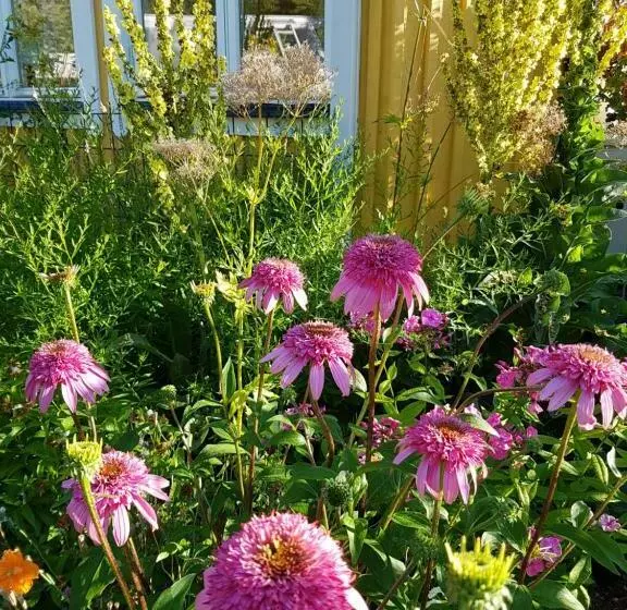 Aamiaismajoitus (B&B) Perenner På Bakgården