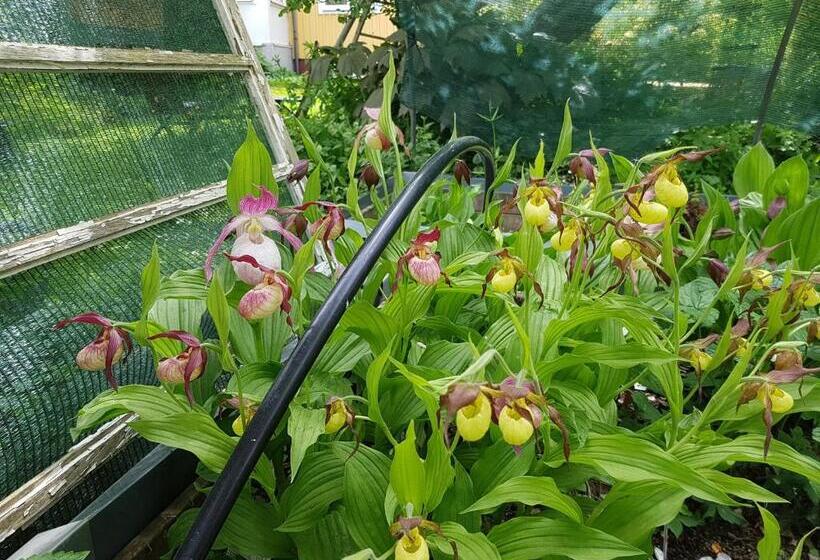 تختخواب و صبحانه Perenner På Bakgården