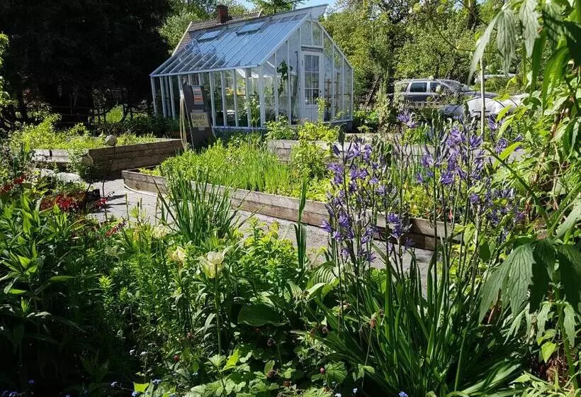 Aamiaismajoitus (B&B) Perenner På Bakgården