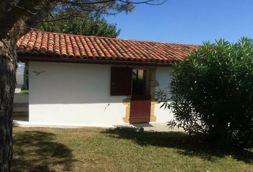 Aamiaismajoitus (B&B) Calicho