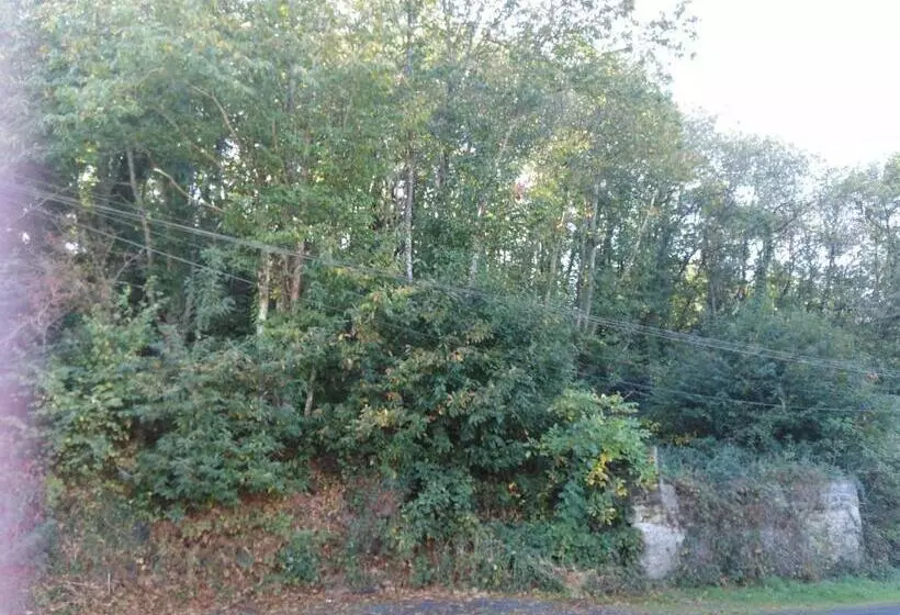 ペンション Entre Mûres Et Châtaignes