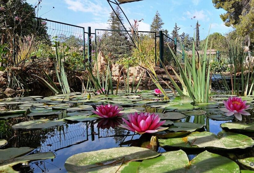 ホテル Amiad Country Lodging