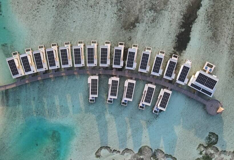 هتل Holiday Inn Resort Kandooma Maldives   Kids Stay & Eat Free And Dive Free For Certified Divers For A