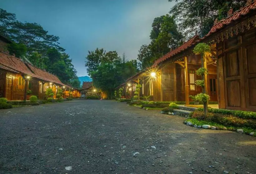 هتل The Omah Borobudur