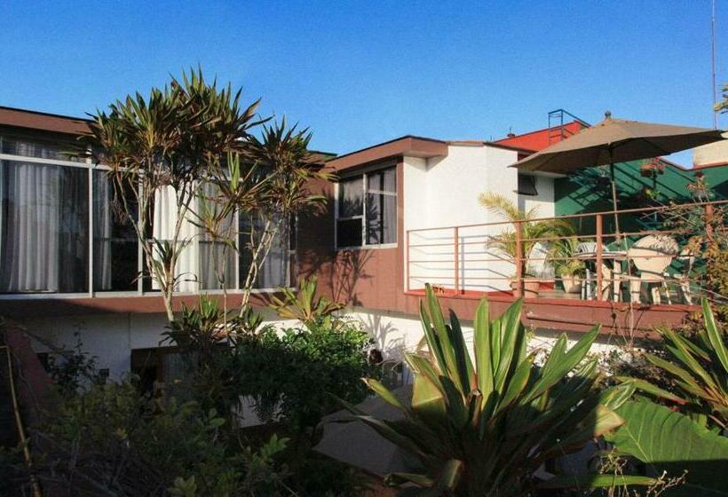 ユースホステル Posada Galeria Alberto Sedas