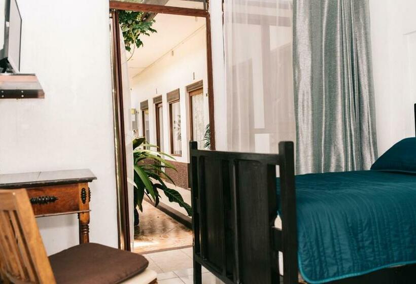 ユースホステル Posada Galeria Alberto Sedas