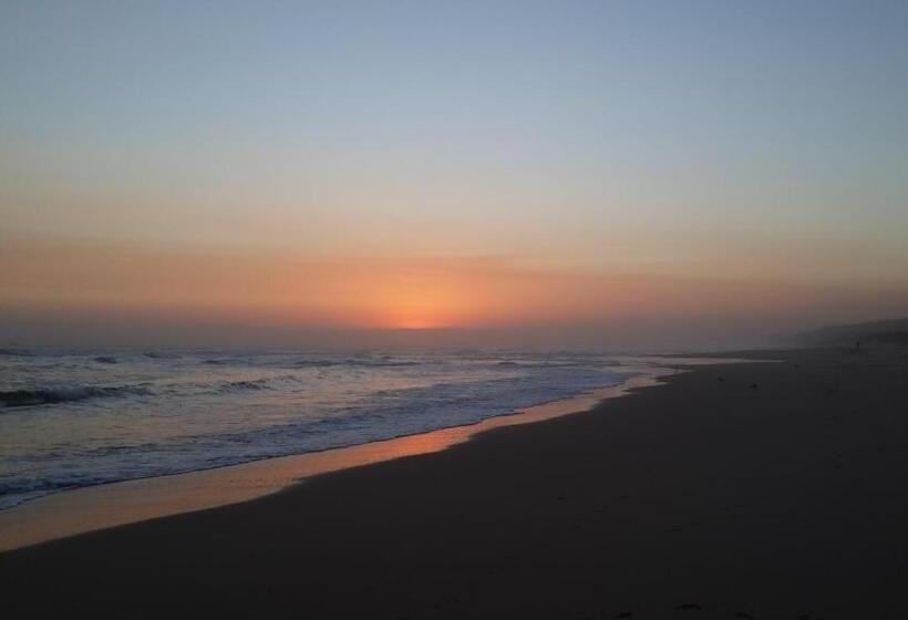 بنسيون Amelia S By The Sea