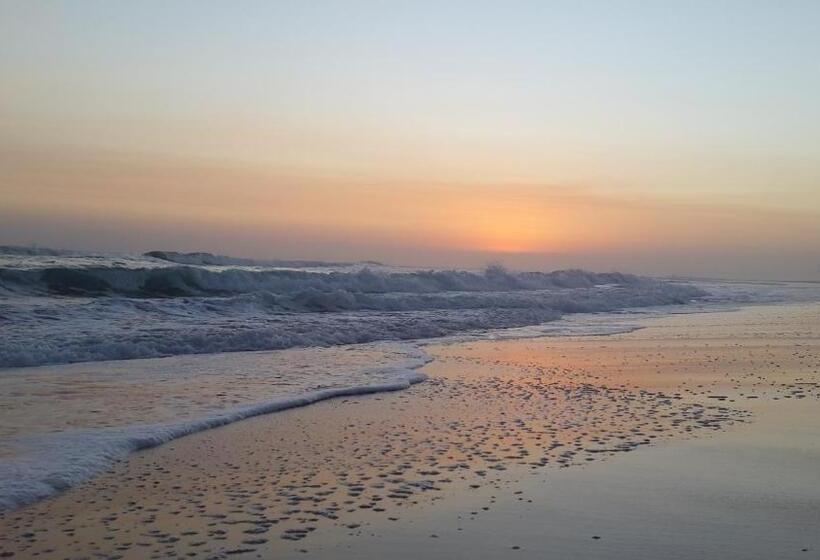 بنسيون Amelia S By The Sea