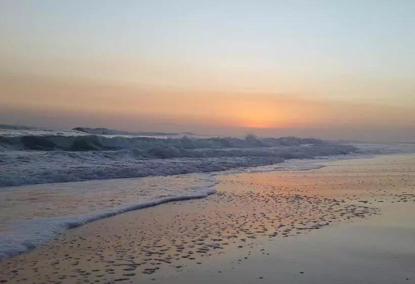 Majatalo Amelia S By The Sea