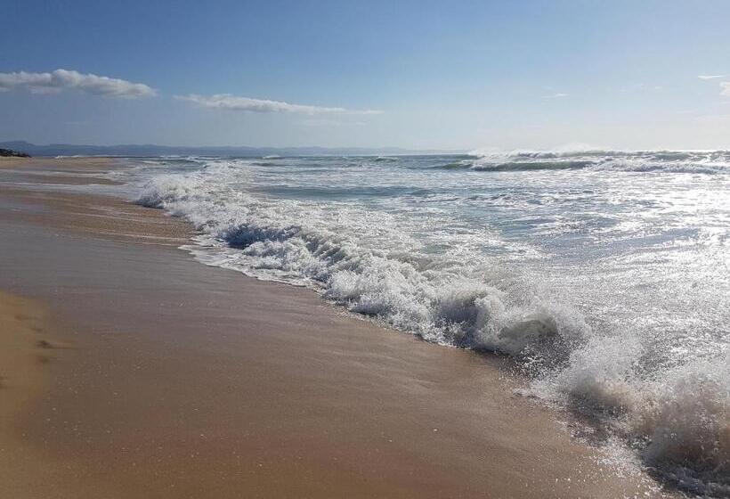 بنسيون Amelia S By The Sea