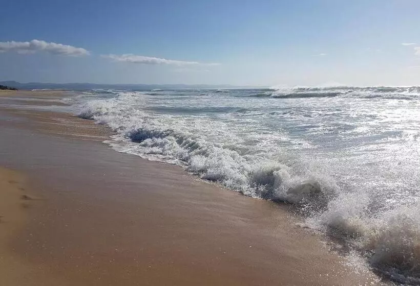 Majatalo Amelia S By The Sea