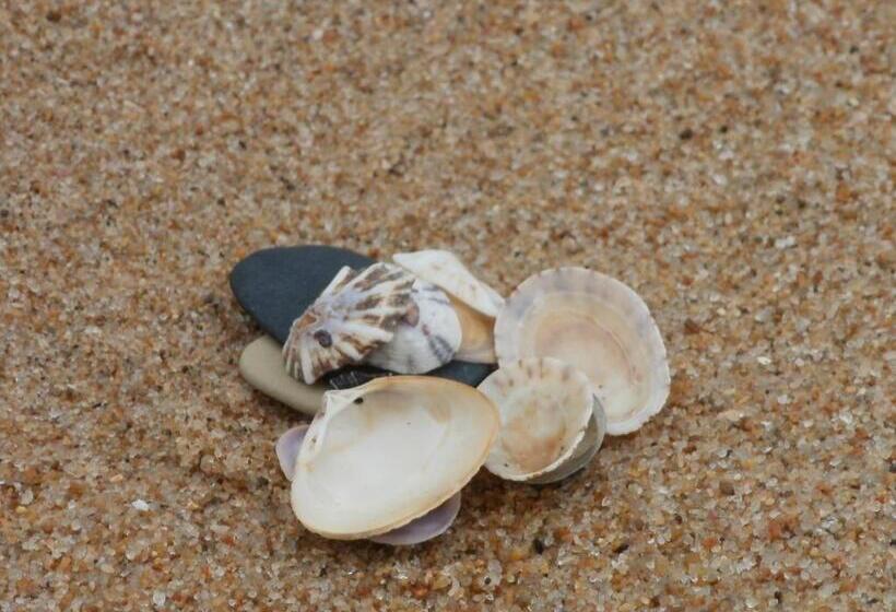 بنسيون Amelia S By The Sea