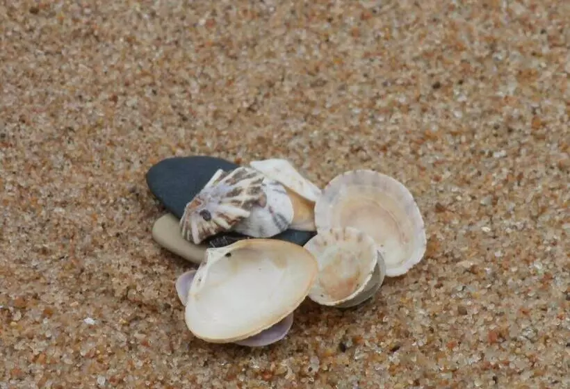 Majatalo Amelia S By The Sea