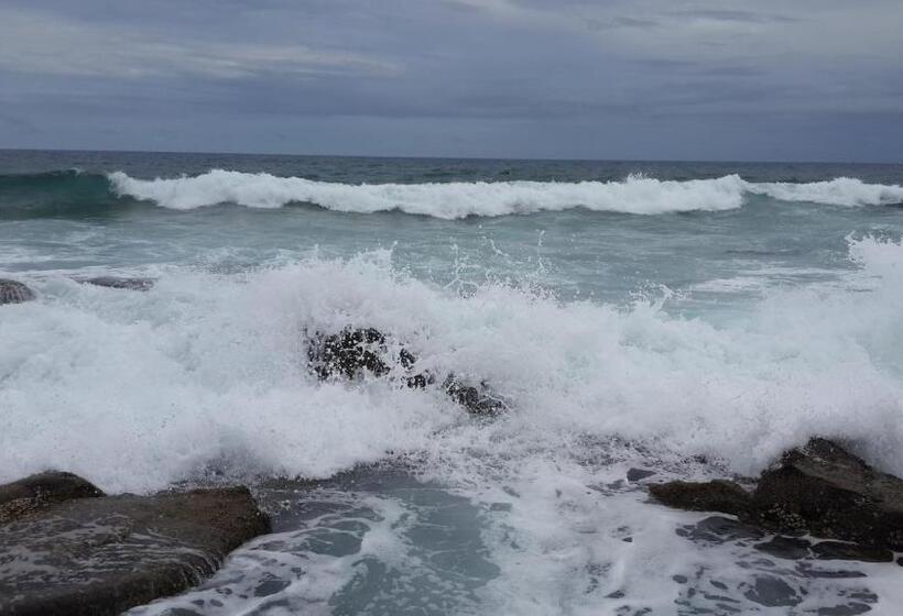 بنسيون Amelia S By The Sea