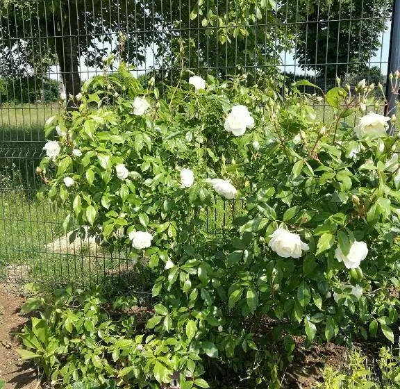 Majatalo Cathy Et Eric