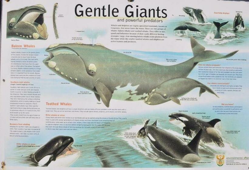 بنسيون Zeezicht Guest House