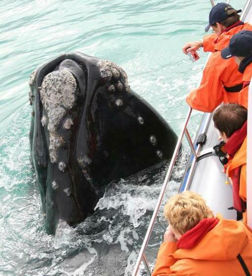 بنسيون Zeezicht Guest House