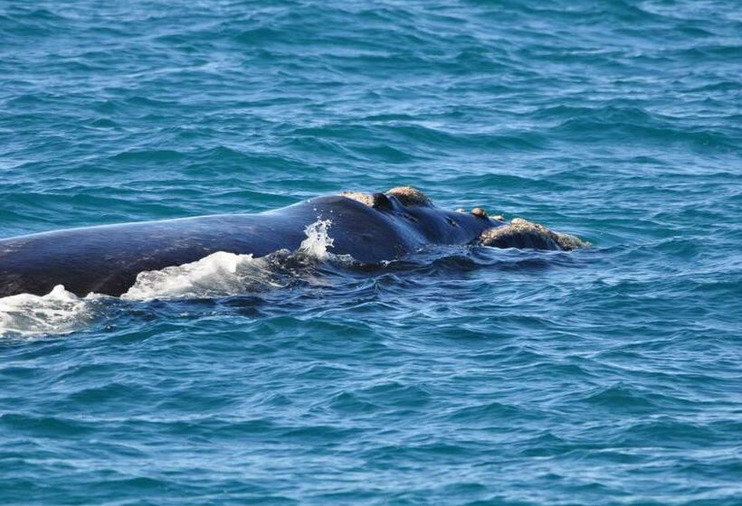 بنسيون Zeezicht Guest House