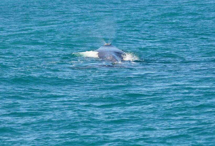 بنسيون Zeezicht Guest House