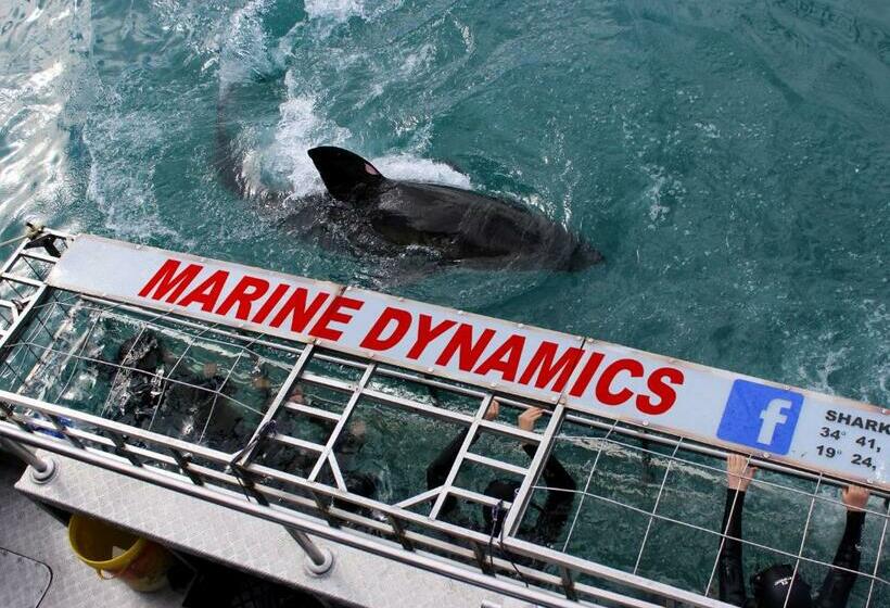 بنسيون Zeezicht Guest House