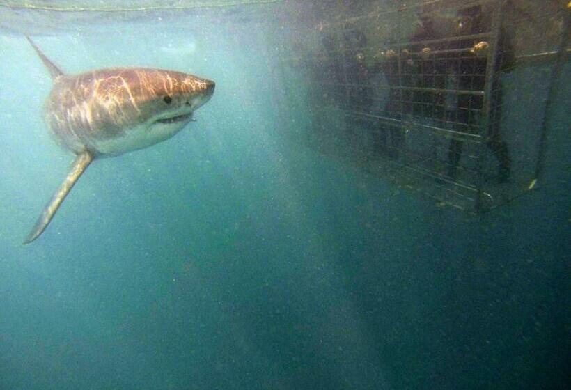 بنسيون Zeezicht Guest House