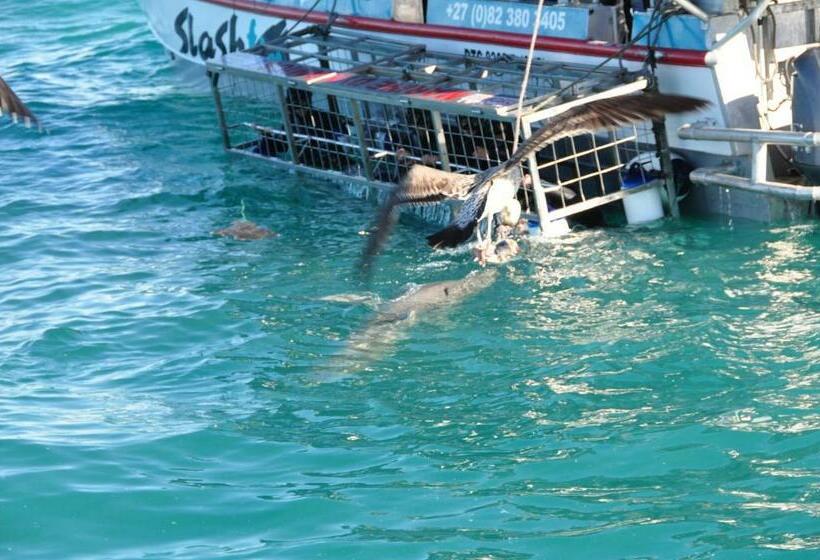 بنسيون Zeezicht Guest House