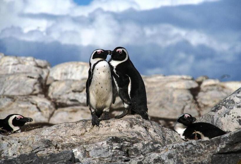 بنسيون Zeezicht Guest House