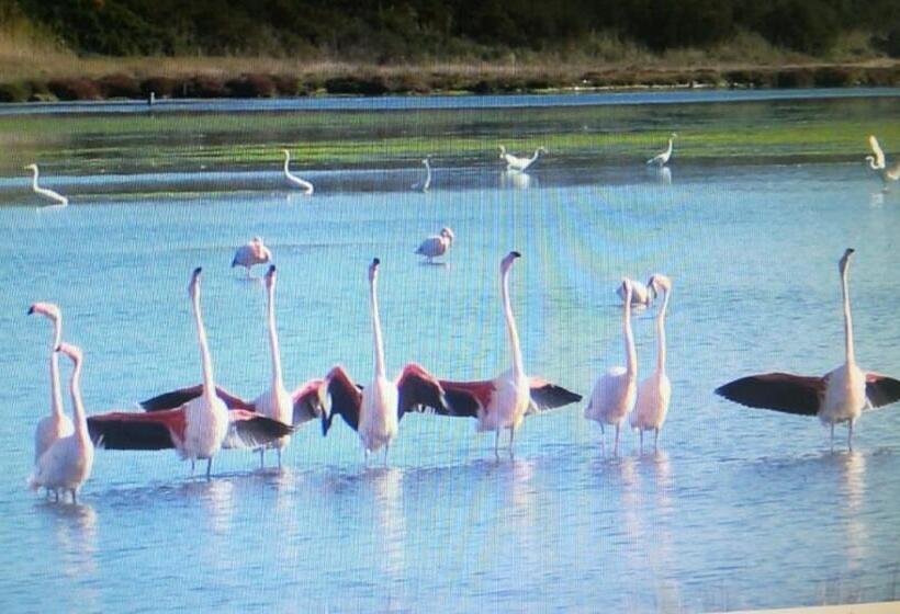 تختخواب و صبحانه Angolo Verde