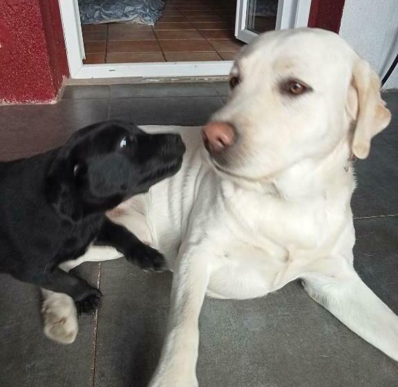 住宿加早餐  L Arberc