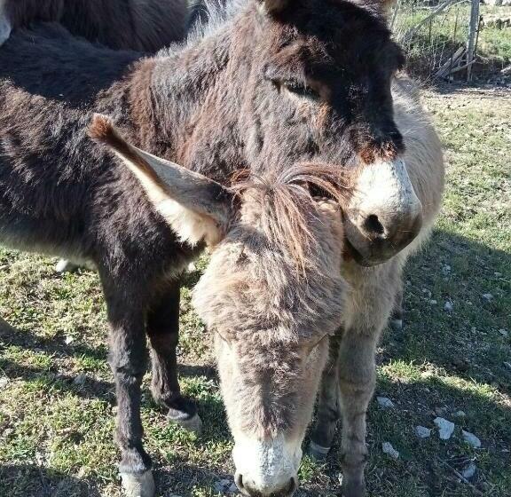 住宿加早餐 L Arberc