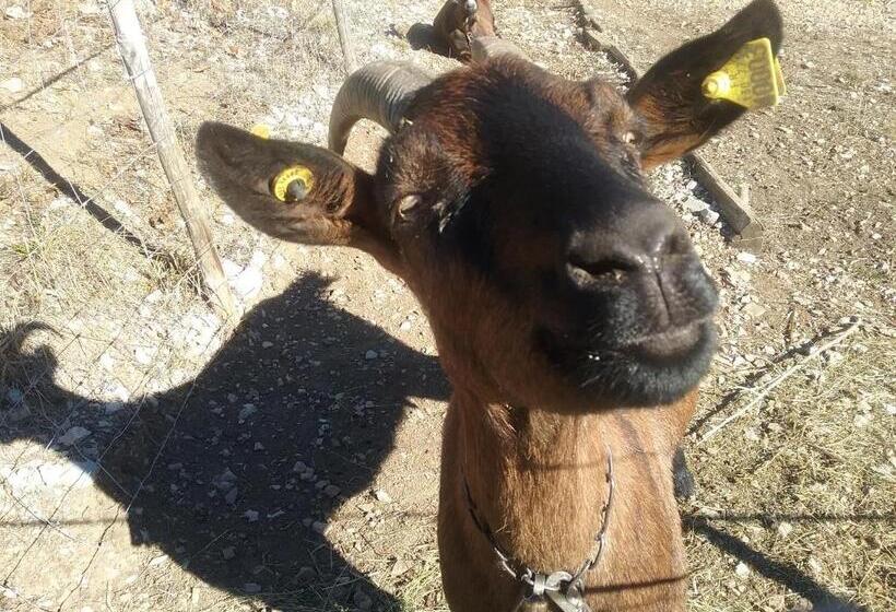 住宿加早餐 L Arberc