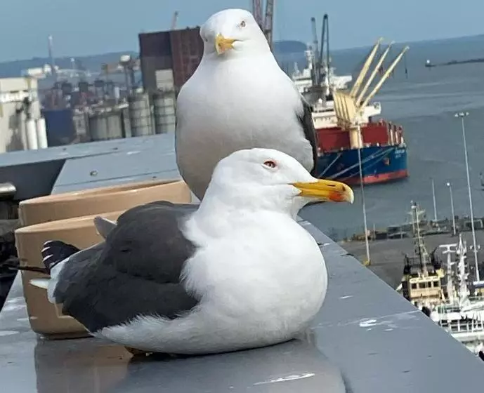 James Clow Bed & Breakfast