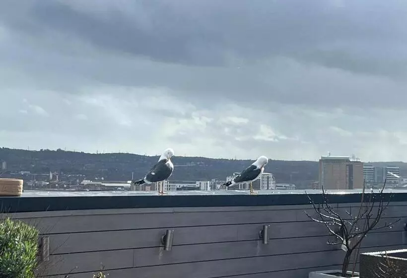 James Clow Bed & Breakfast