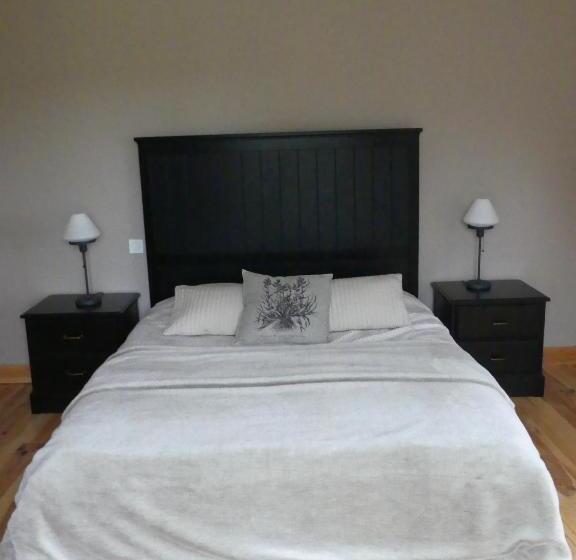 펜션 Château De St Alyre