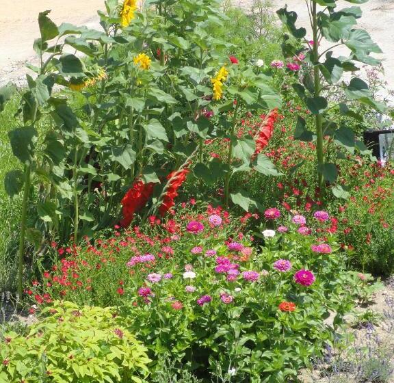 펜션 Château De St Alyre