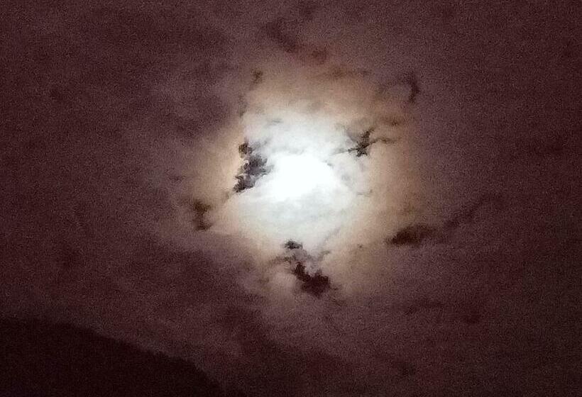 B&b Il Campanile Di Leone Pina