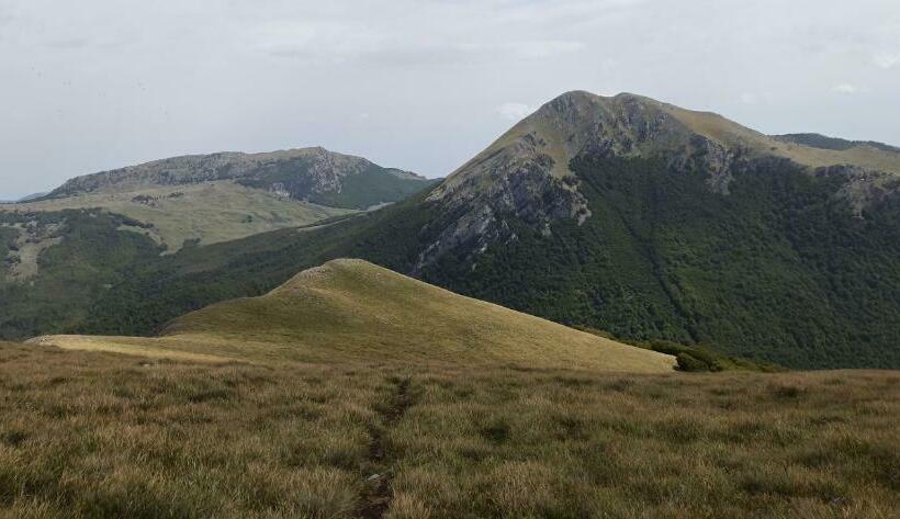 B&b Il Campanile Di Leone Pina