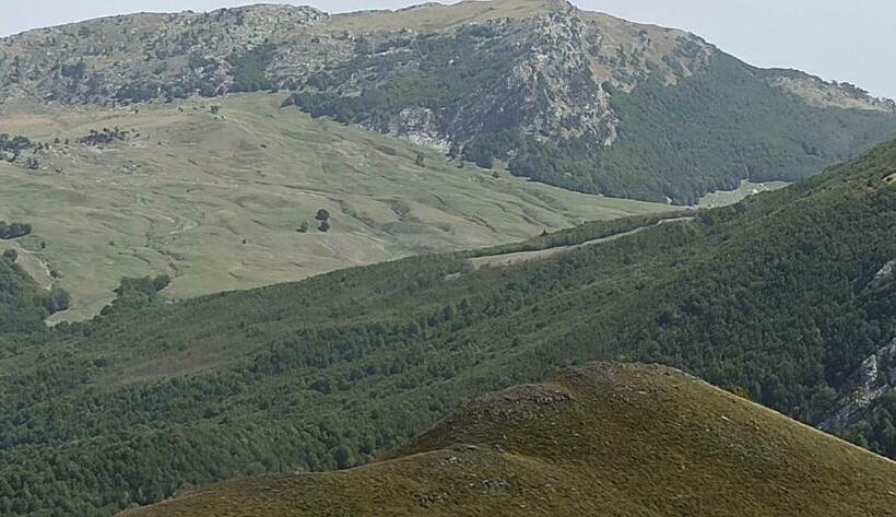 B&b Il Campanile Di Leone Pina