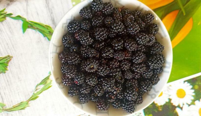 B&b Il Campanile Di Leone Pina