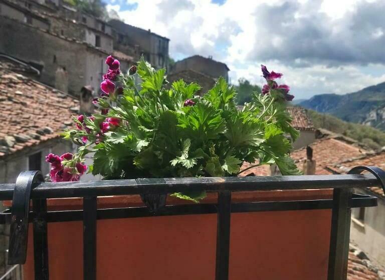 B&b Il Campanile Di Leone Pina