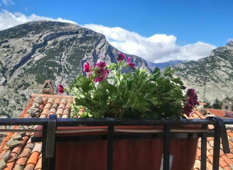 B&b Il Campanile Di Leone Pina