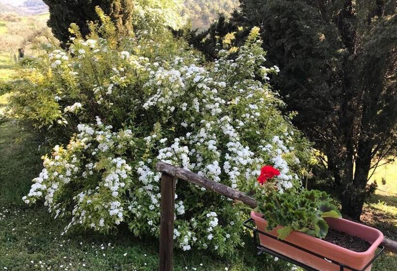 Hotel Colle Cornetto