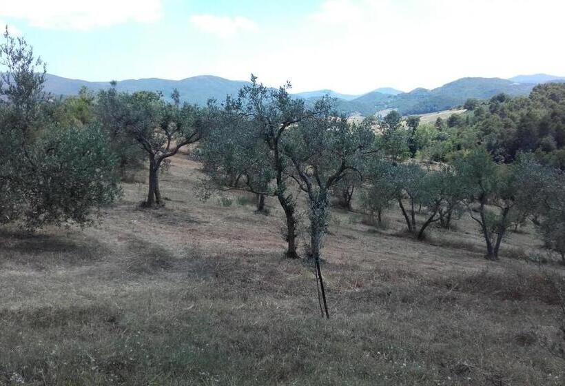 Hotel Colle Cornetto