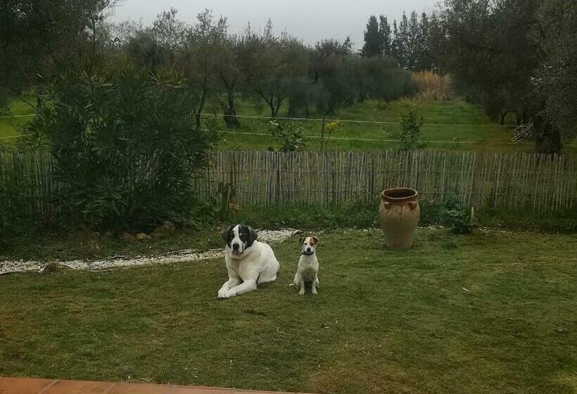 Отель Finca Casa Halcon