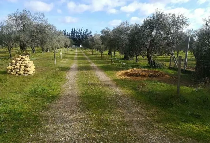 ホテル Finca Casa Halcon