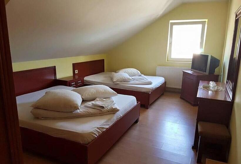 Hotel Pensiunea Balea