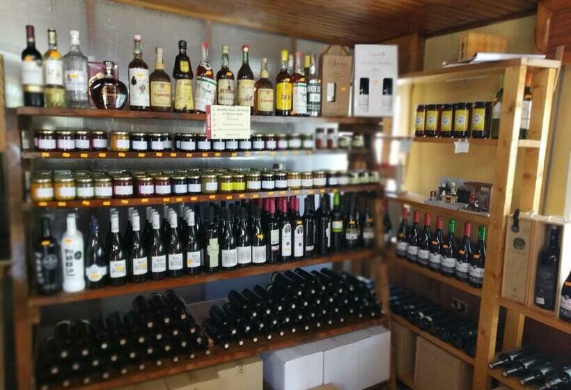 פנסיון Casa Pepe