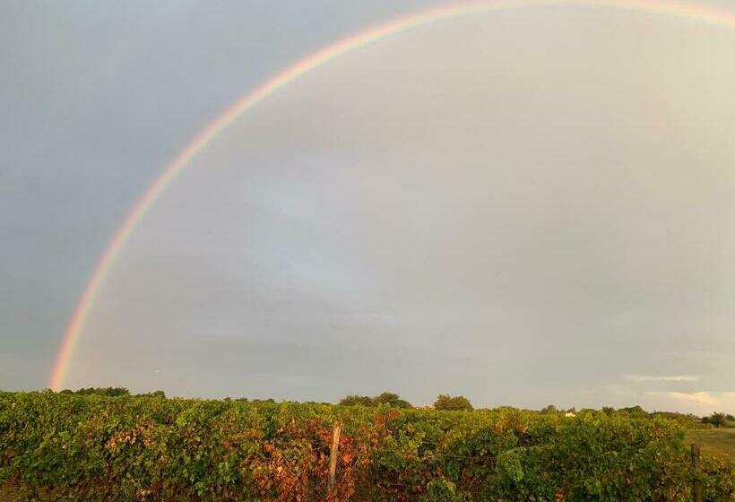 بنسيون Clos Des Marais